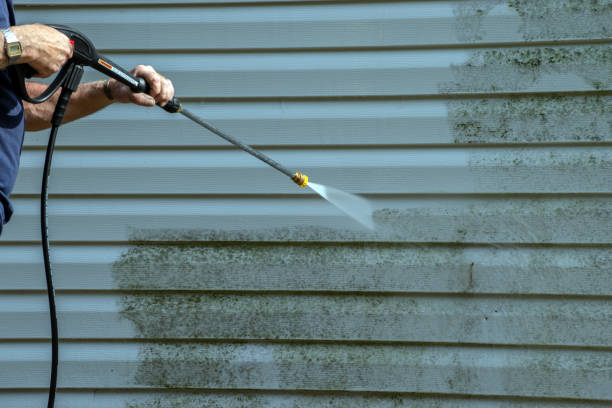 Best Solar Panel Cleaning  in Taylor, TX